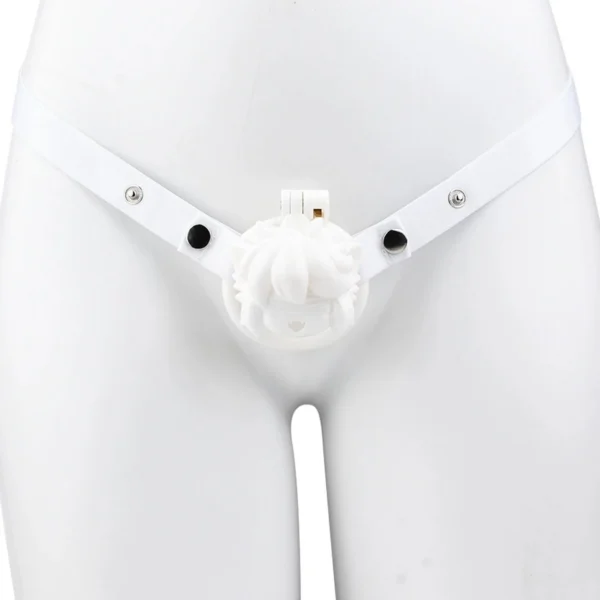 ABS Resin Strap-on Cock Cage Chastity Device for Men Sex Toys for Men
